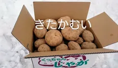 2025年最新】きたかむいの人気アイテム - メルカリ
