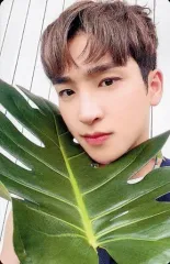 【中古】コレクションカード(男性) THE BOYZ/SANGYEON(サンヨン)/裏面緑/「THRILL-ING OFFICIAL MD」PVCミニポケットフォトカードセット(SPLASH Ver.) フォトカード