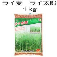 ライ麦　ライ太郎　1kg【種】タキイ種苗　緑肥の種　牧草の種　ライムギ