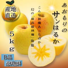 青森県産 はるか りんご【B品5kg】【送料無料】【農家直送】リンゴ サンふじ