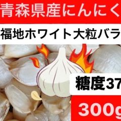 青森県産にんにく　福地ホワイト大粒300g