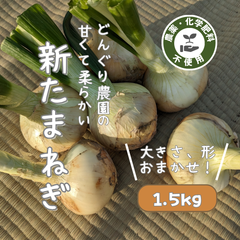 甘くて柔らかい新玉ねぎ（1.5kg）【農薬不使用】静岡県産