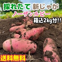 送料無料【生でも甘い採れたて産地直送！】にんじん1Kg (箱込) 稀少