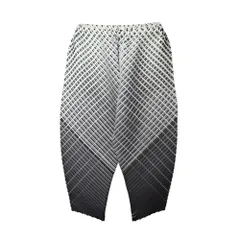 PLEATS PLEASE プリーツデザインパンツ 10100102-1.jpg