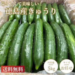 きゅうり 5キロ 農家直送 新鮮野菜 キュウリ 胡瓜 宮崎県産 - メルカリ