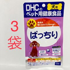 ファーリアル 遊ぶのだいすき♪ポーラーベアー ぬいぐるみ F2051 正規