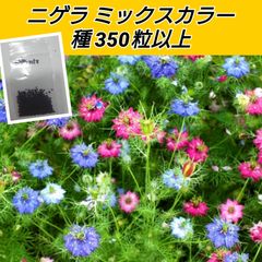 ニゲラ ミックスカラー 花種350粒以上 shop