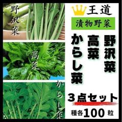 【野菜の種】おいしい漬物野菜３種の種セット「高菜・野沢菜・からし菜」各１００粒