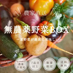 \農家直送/夏野菜BOX ナス多め♡80サイズいっぱいにのサムネイル
