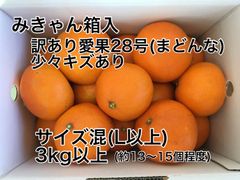 愛媛県産　訳あり愛果28号(まどんな) Lサイズ以上　3kg  みきゃん箱