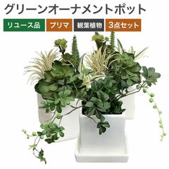 在庫処分！ 中古 シュガーバイン 観葉植物 フェイクグリーン 3点セット販売