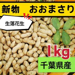 箱込み1kg 1キロ 無選別【農家直送】新物 生落花生 おおまさり 千葉県