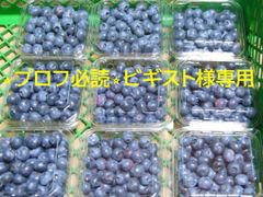 ⭐️プロフ必読⭐️ビギスト様専用　農薬不使用ブルーベリーミックス3㎏プラスα！♪