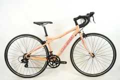 【早期取引希望】ルイガノ　LOUIS GARNEAU CR07 ロードバイク LOUIS GARNEAU / ルイガノ製品紹介 / LGS-CR07