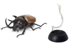 【中古】トレーディングフィギュア ゴホンツノカブト 「いきもの大図鑑 かぶとむし02」