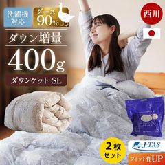 【2枚セット】 西川 グース90％増量400g 日本製 洗える羽毛肌掛け布団 シングルロング 新品【3S-KE04005304】