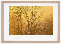 アートフォト 絵画 日の出のこぶし 高橋真澄/インテリア 額入り 額装込 風景画 油絵 ポスター アート アートパネル リビング 玄関 プレゼント モダン アートフレーム 飾る Mサイズ おしゃれ 壁掛け 絵