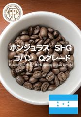 自家焙煎ストレートコーヒー豆 ホンジュラス ＳＨＧ コパン Ｑグレード（有機JAS栽培）100g