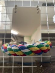インコアクリルミラー付き ロープパーチ★インコグッズ★縦18×横13cm