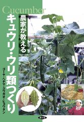 農家も始められるワケギ球根（種球）5キロ 農家も始められるワケギ球根（種球）5キロ - メルカリ