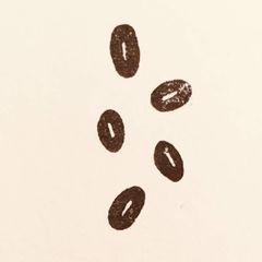 西の風珈琲