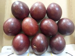 数量限定！大人気　無農薬　沖縄産パッションフルーツ