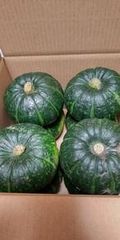大山山麓栽培期間中農薬化成肥料不使用栽培人参1㎏じゃがいも1㎏玉葱1㎏【送料込】 大山山麓栽培期間中農薬化成肥料不使用栽培人参1㎏じゃがいも1