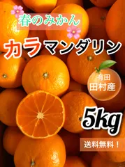 2024年最新】腐ったミカンの人気アイテム - メルカリ