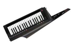 ★未使用！展示品！KORG コルグ RK-100S 2 ショルダー キーボード★
