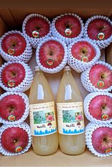 青森県産　贈答用（ギフト、お歳暮用）　りんご&りんごジュースセット