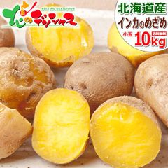【予約/10月上旬(10月3日)頃から出荷予定】 北海道産 新じゃが じゃがいも ひと口 インカのめざめ 10kg(共撰/SS-S) 秋野菜 インカ インカの目覚め ジャガイモ 馬鈴薯 ギフト 贈り物 お祝い プレゼント ご家庭用 北海道 グルメ お取り寄せ