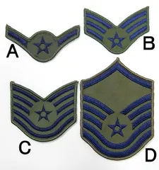 ◾️ミリタリー◾️アメリカ陸軍航空軍 ワッペン ヴィンテージ 【OG-09】 ◾️ミリタリー◾️アメリカ陸軍航空軍 ワッペン ヴィンテージ