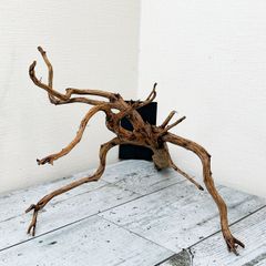 【This is Branch】プレミアムブランチウッド/Branchwood【B010】