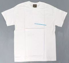 小沢健二 ツアー Tシャツ 春 空 虹 - メルカリ