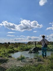 フィリップス philips PD9000/37 アメリカ版 リージョンコード1 フィリップス philips PD9000/37 アメリカ版 リージョンコード1