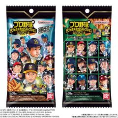 プロ野球デフォルメカードコレクション2024 かきの種 30g　×6個