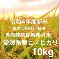 農薬化学肥料除草剤不使用、自然栽培＆天日干し2022年産・農林22号玄米