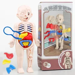 知育玩具 人体模型 内臓パズル 器官 ミニ おもちゃ お医者さん ごっこ遊び 理科 キッズ 子ども プレゼント ギフト