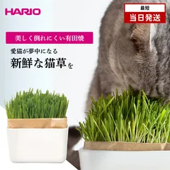 [신제품] HARIO 고양이 잔디 재배 고양이 채소 세트