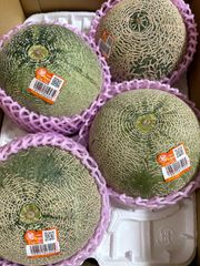 クインシーメロン 3Lサイズ 箱込 4.8キロ程度 茨城県産