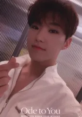 SEVENTEEN 19年ODE to You IN JAPAN HOSHI トレーディングカード セルカ