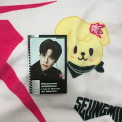 StrayKids スキズ スンミン oddinary トレカ Amazon.co.jp: straykids スキズ ODDINARY トレカ スンミン