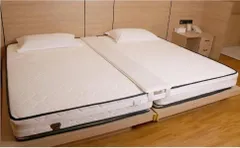 ダルマックス　遠赤外線　綿マイヤーパッド　敷パッド　153×195 ワイドダブル ダルマックス遠赤外線綿マイヤーパッド敷パッド153×195 ワイドダブル