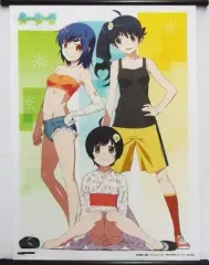 化物語 タペストリー 7本セット 文豪ストレイドッグス 描きおろしB2ハーフタペストリー modern