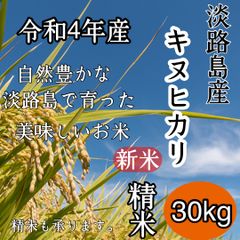 新米 令和4年 産 キヌヒカリ  精米30キロ 淡路島 精米小分け　30kg