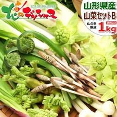 2024年最新】こごみ 山菜の人気アイテム - メルカリ