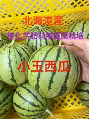 小玉西瓜2個入 栽培期間中無化学肥料無農薬栽培 - メルカリ