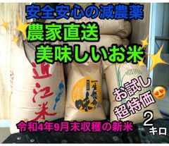 令和4年度新米！玄米特価！滋賀県産キヌヒカリ10キロ