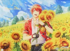 【中古】アクリルスタンド・アクリルパネル 一十木音也 Shining Live アクリルプレート Shiny Star Live Ver. 「うたの☆プリンスさまっ♪」 アニメイト限定