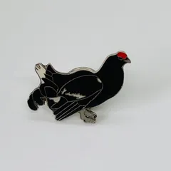 激レア・限定100個・雷鳥ピンバッジ３種コンプ・特製ピンバッジコレクションケース 激レア・限定100個・雷鳥ピンバッジ3種コンプ・特製ピンバッジ